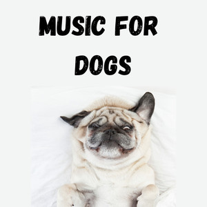 Classical Music For Dogs