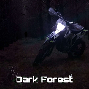 Dark Forest