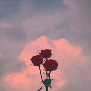 想念(Prod by BECU BEATZ)