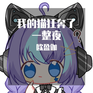 我的猫狂奔了一整夜（翻自 Hanser）