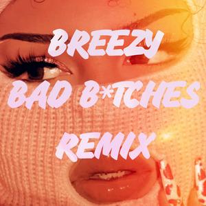 BREEZY BAD *****ES (RE MIX)