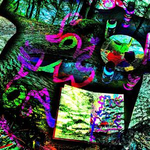 Warm Fire On A Foggy Day