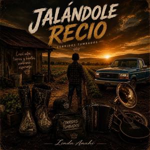 Jalándole recio