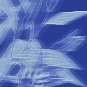 Rainy day-jazz hiphop X vocal X piano type beat