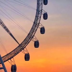 穆疤从购庇俨颂棕科抗壳