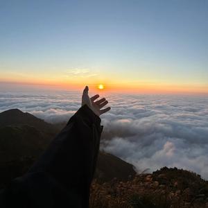 *出现又离开*（1.2x~0.8x）