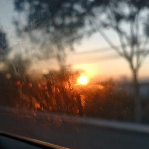 爱错（王力宏×单依纯 live）