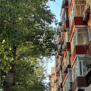 何回目の夏ですか