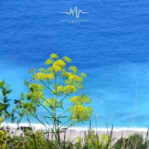 借月光 (钢琴+流水声)