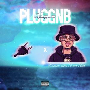 pluggnb