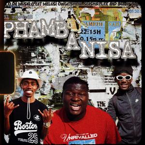 Phambanisa (feat. Melusi OwGatsheni, Slash&Flex & Bunny Boy)