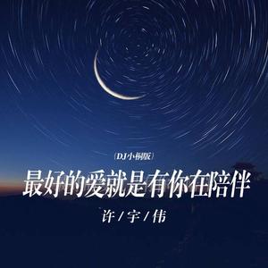 最好的爱就是有你在陪伴 (DJ小桐版)