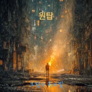 그림자 속의 빛