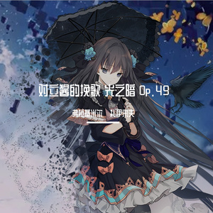 Op.49 对立酱的哀乐-光之暗