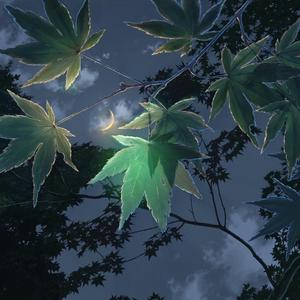 等月光没入夜里