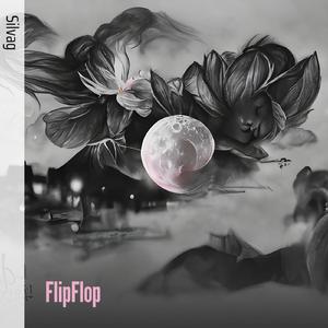 FlipFlop
