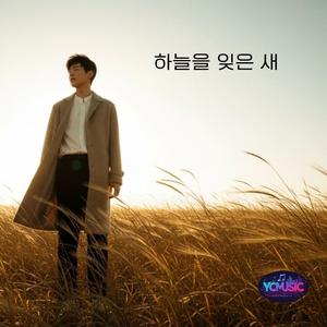 하늘을 잊은 새