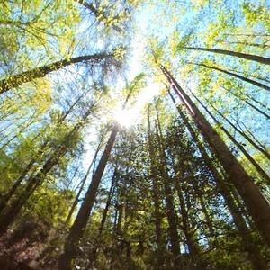 I saw the light fade...