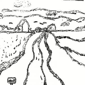 Año N.