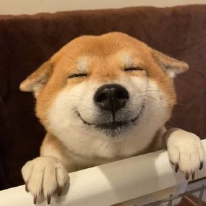 身骑白马（DJ版）