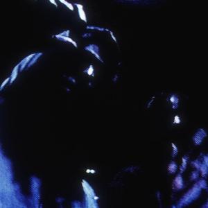 PYTHON (feat. TRAPMAT SAVIOR)