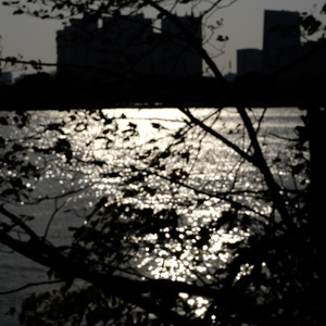 未定之时（Demo）