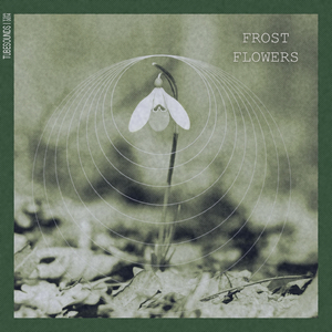 Dreaming Of Sandhills