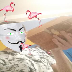 Swag Jako Plameňák