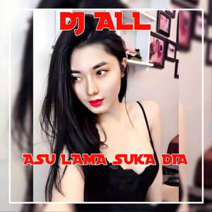 DJ Asu Lama Suka Dia