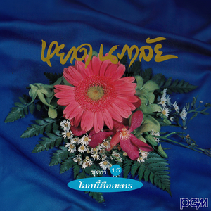 ผู้หญิง