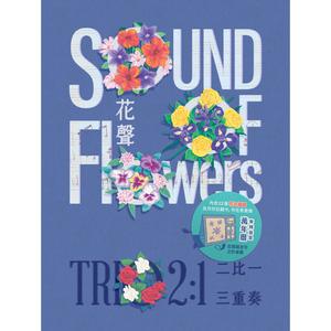 罗伯特．舒曼：《狂欢节》选曲〈齐娅琳娜〉