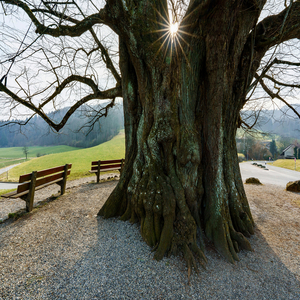 Storm over the Hills