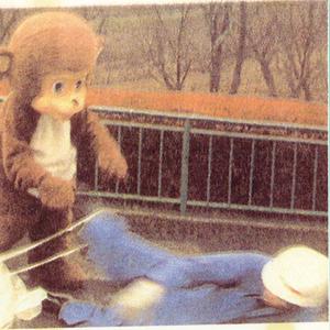 田舎町の動物園