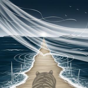 Jindo Tidal Veil (진도 바닷길 베일)