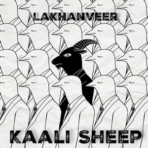 Kaali Sheep