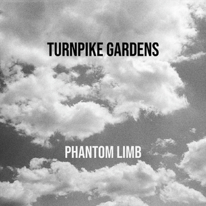 Phantom Limb