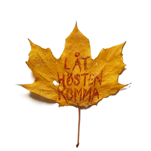 Låt hösten komma