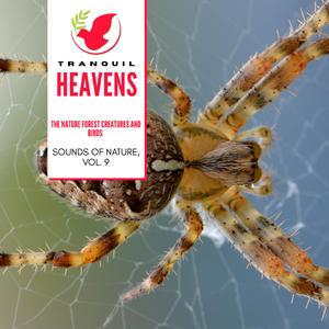 Skyscrapping Midday Mountain