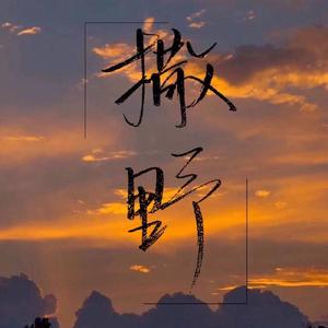 撒野（超燃钢琴四手联弹）