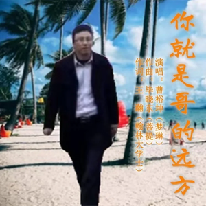 你就是哥的远方 梦琳发行版 伴奏