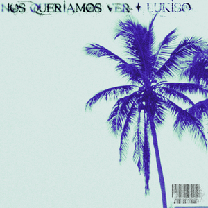Nos Queríamos Ver