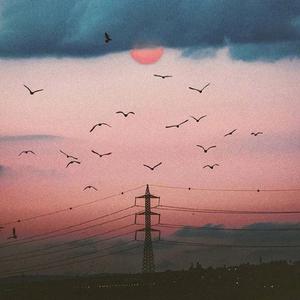 某个心跳（翻自 群星）