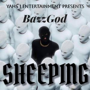 Sheeping
