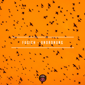 Unordnung
