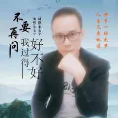 不要再问我过得好不好