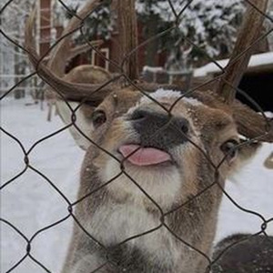 กาลครั้งนึง (Sped Up)