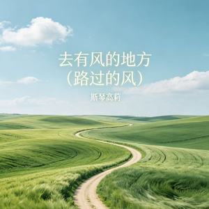 去有风的地方（路过的风）