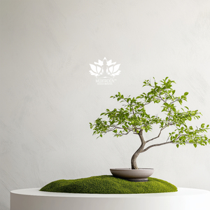 Souffle matinal au jardin intérieur