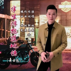 半生浮想落地伤 (Dj版)
