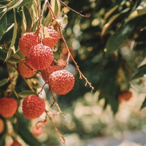 仿佛回到那一年的那一个下午